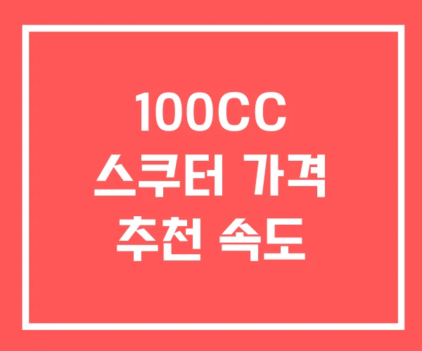 100CC 스쿠터 가격 추천 속도 100CC 스쿠터 가격 추천 속도