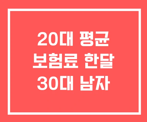 20대 평균 보험료 한달 30대 남자 20대 평균 보험료 한달 30대 남자