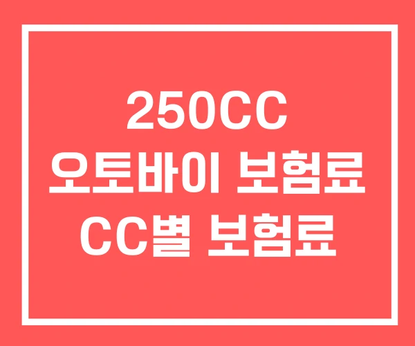 250CC 오토바이 보험료 CC별 보험료
