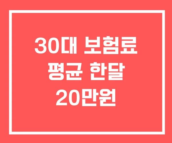 30대 보험료 평균 한달 20만원 30대 보험료 평균 한달 20만원