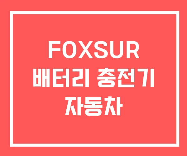 FOXSUR 배터리 충전기 자동차