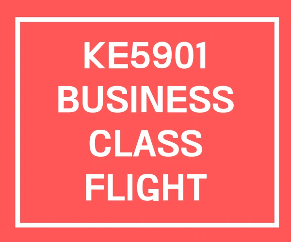 KE5901 BUSINESS CLASS FLIGHT KE5901 BUSINESS CLASS FLIGHT