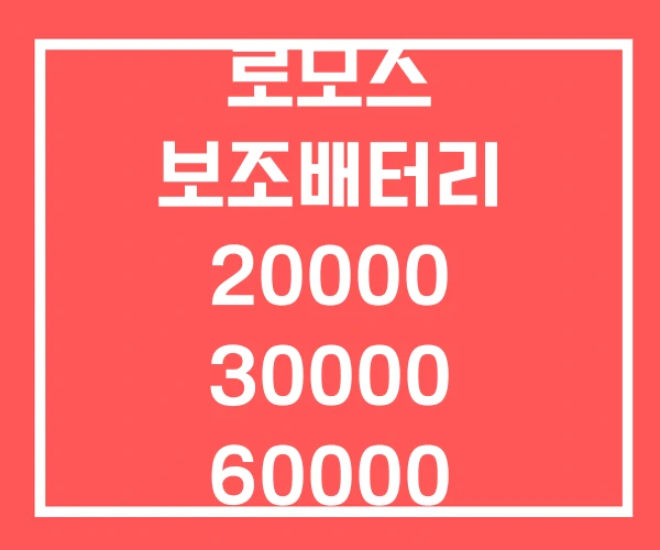 로모스 보조배터리 20000 30000 60000 로모스 보조배터리 20000 30000 60000