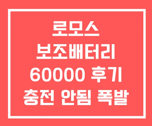로모스 보조배터리 60000 후기 충전 안됨 폭발 로모스 보조배터리 60000 후기 충전 안됨 폭발