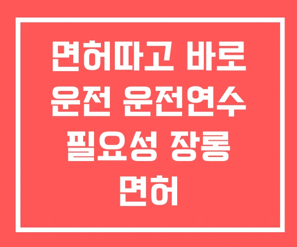 면허따고 바로 운전 운전연수 필요성 장롱 면허 면허따고 바로 운전 운전연수 필요성 장롱 면허