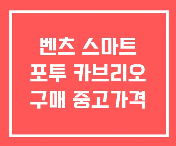 벤츠 스마트 포투 카브리오 구매 중고가격 벤츠 스마트 포투 카브리오 구매 중고가격