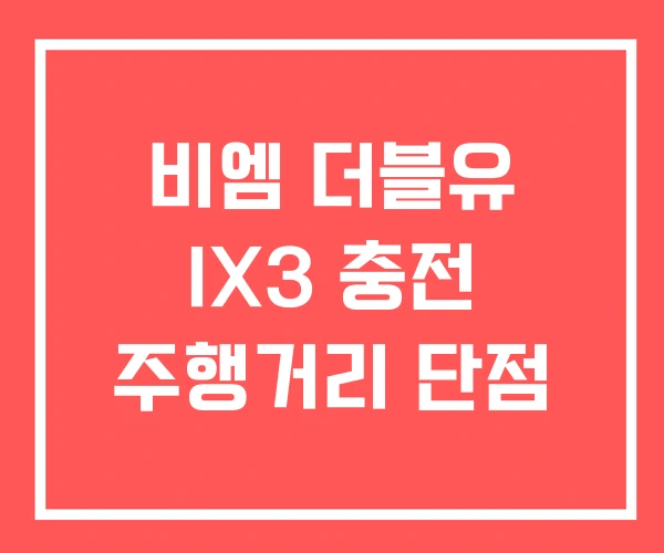 비엠 더블유 IX3 충전 주행거리 단점