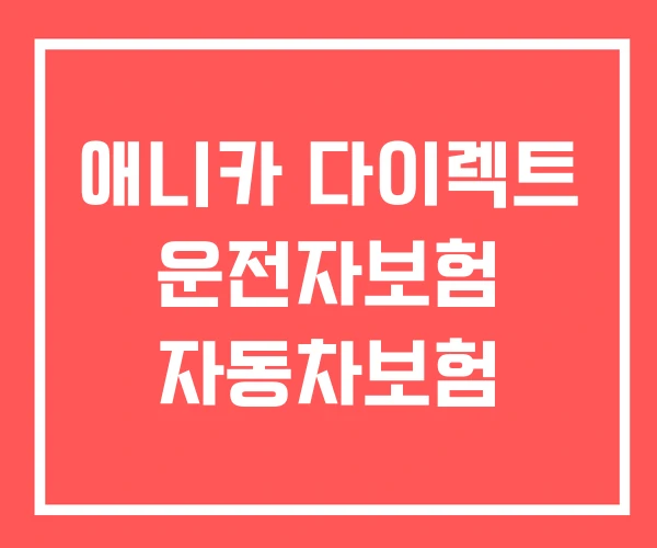 애니카 다이렉트 운전자보험 자동차보험 애니카 다이렉트 운전자보험 자동차보험