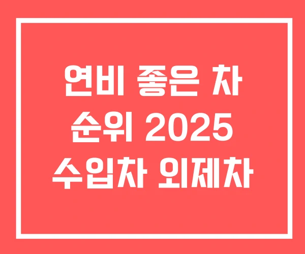 연비 좋은 차 순위 2025 수입차 외제차 연비 좋은 차 순위 2025 수입차 외제차