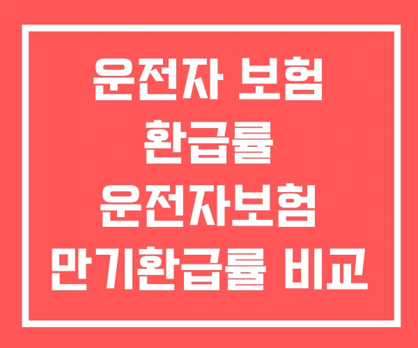 운전자 보험 환급률 운전자보험 만기환급률 비교 운전자 보험 환급률 운전자보험 만기환급률 비교