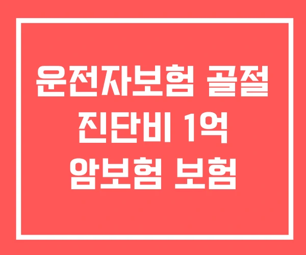 운전자보험 골절 진단비 1억 암보험 보험