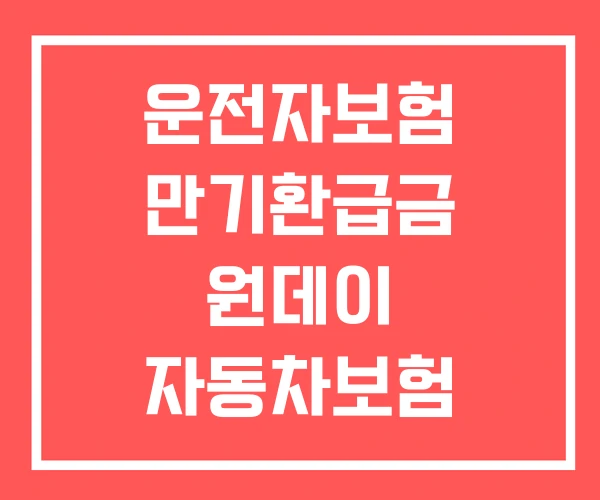 운전자보험 만기환급금 원데이 자동차보험