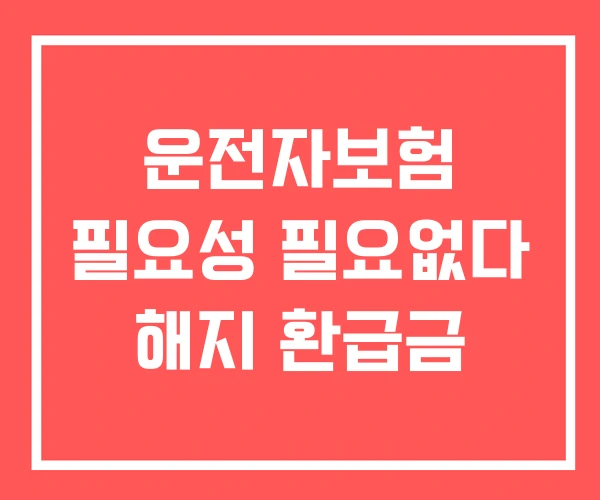 운전자보험 필요성 필요없다 해지 환급금 운전자보험 필요성 필요없다 해지 환급금