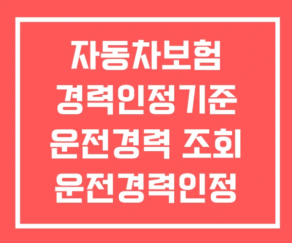 자동차보험 경력인정기준 운전경력 조회 운전경력인정 자동차보험 경력인정기준 운전경력 조회 운전경력인정