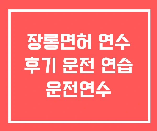 장롱면허 연수 후기 운전 연습 운전연수 장롱면허 연수 후기 운전 연습 운전연수