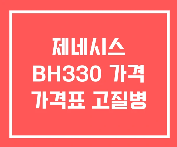 제네시스 BH330 가격 가격표 고질병 제네시스 BH330 가격 가격표 고질병