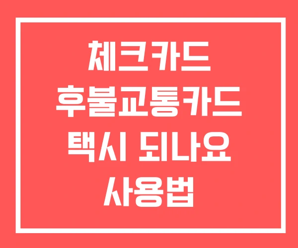 체크카드 후불교통카드 택시 되나요 사용법 체크카드 후불교통카드 택시 되나요 사용법