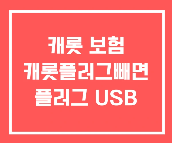 캐롯 보험 캐롯플러그빼면 플러그 USB 캐롯 보험 캐롯플러그빼면 플러그 USB