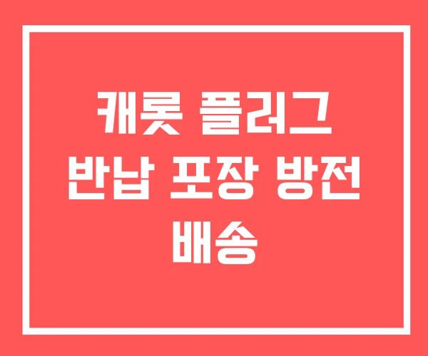 캐롯 플러그 반납 포장 방전 배송 캐롯 플러그 반납 포장 방전 배송