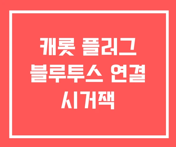 캐롯 플러그 블루투스 연결 시거잭 캐롯 플러그 블루투스 연결 시거잭
