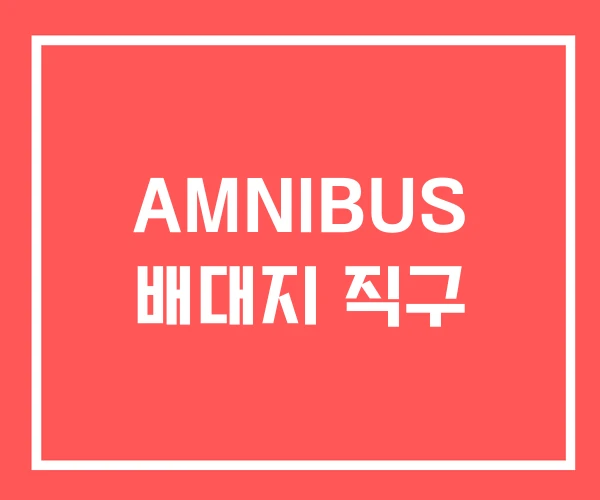 AMNIBUS 배대지 직구 AMNIBUS 배대지 직구