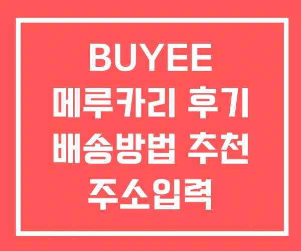 BUYEE 메루카리 후기 배송방법 추천 주소입력