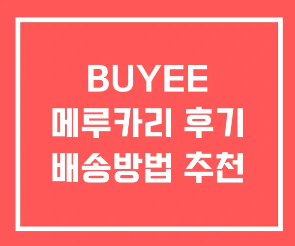 BUYEE 메루카리 후기 배송방법 추천 BUYEE 메루카리 후기 배송방법 추천