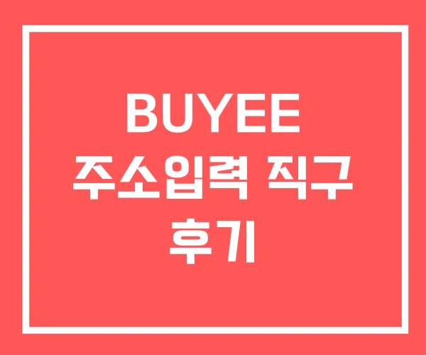 BUYEE 주소입력 직구 후기 BUYEE 주소입력 직구 후기