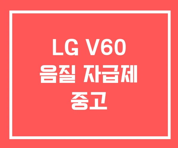 LG V60 음질 자급제 중고