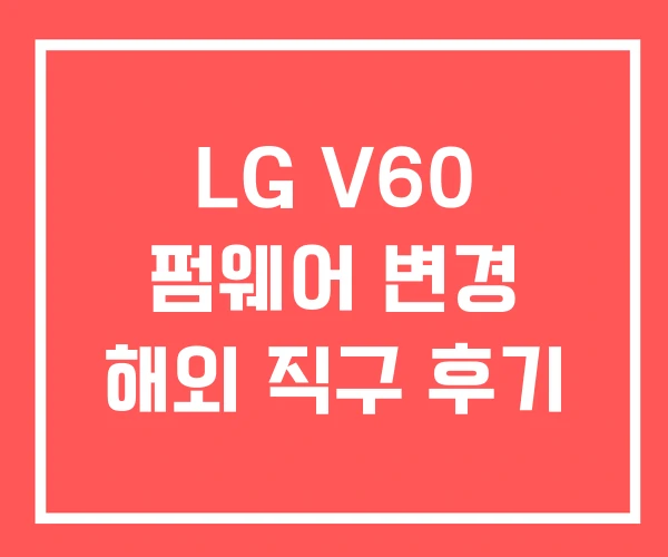 LG V60 펌웨어 변경 해외 직구 후기 LG V60 펌웨어 변경 해외 직구 후기