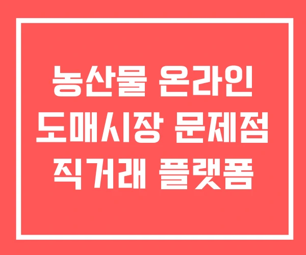 농산물 온라인 도매시장 문제점 직거래 플랫폼