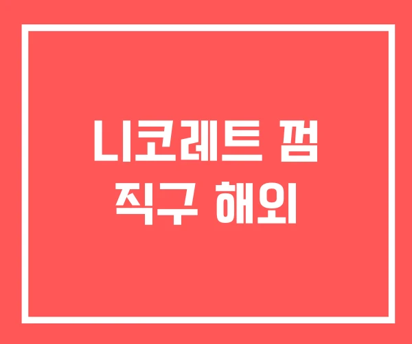 니코레트 껌 직구 해외 니코레트 껌 직구 해외